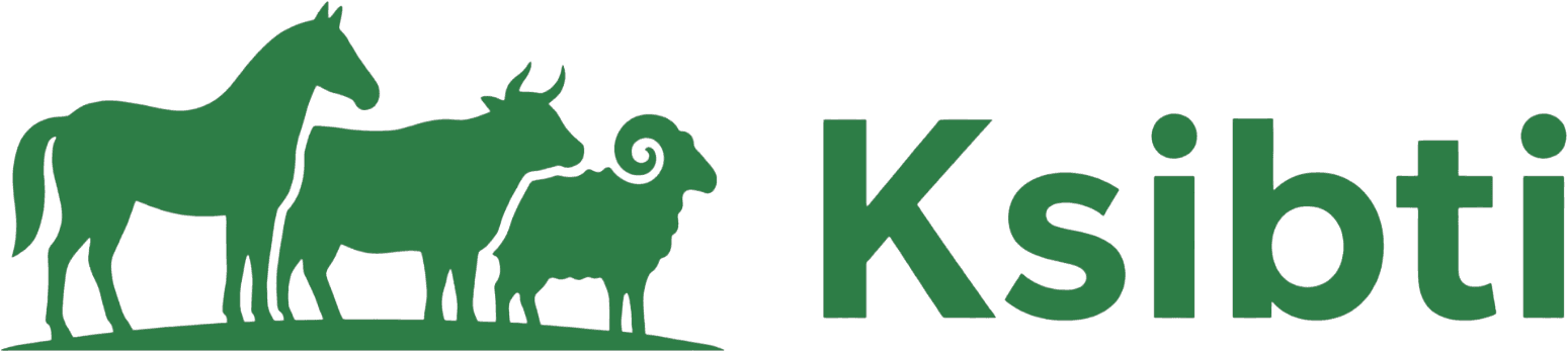 Ksibti